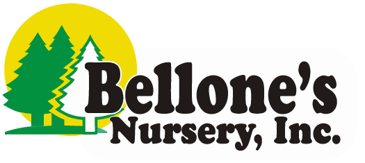 Bellone's Nursery, Inc.